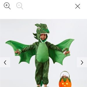 Pottery barn kids dragon costume